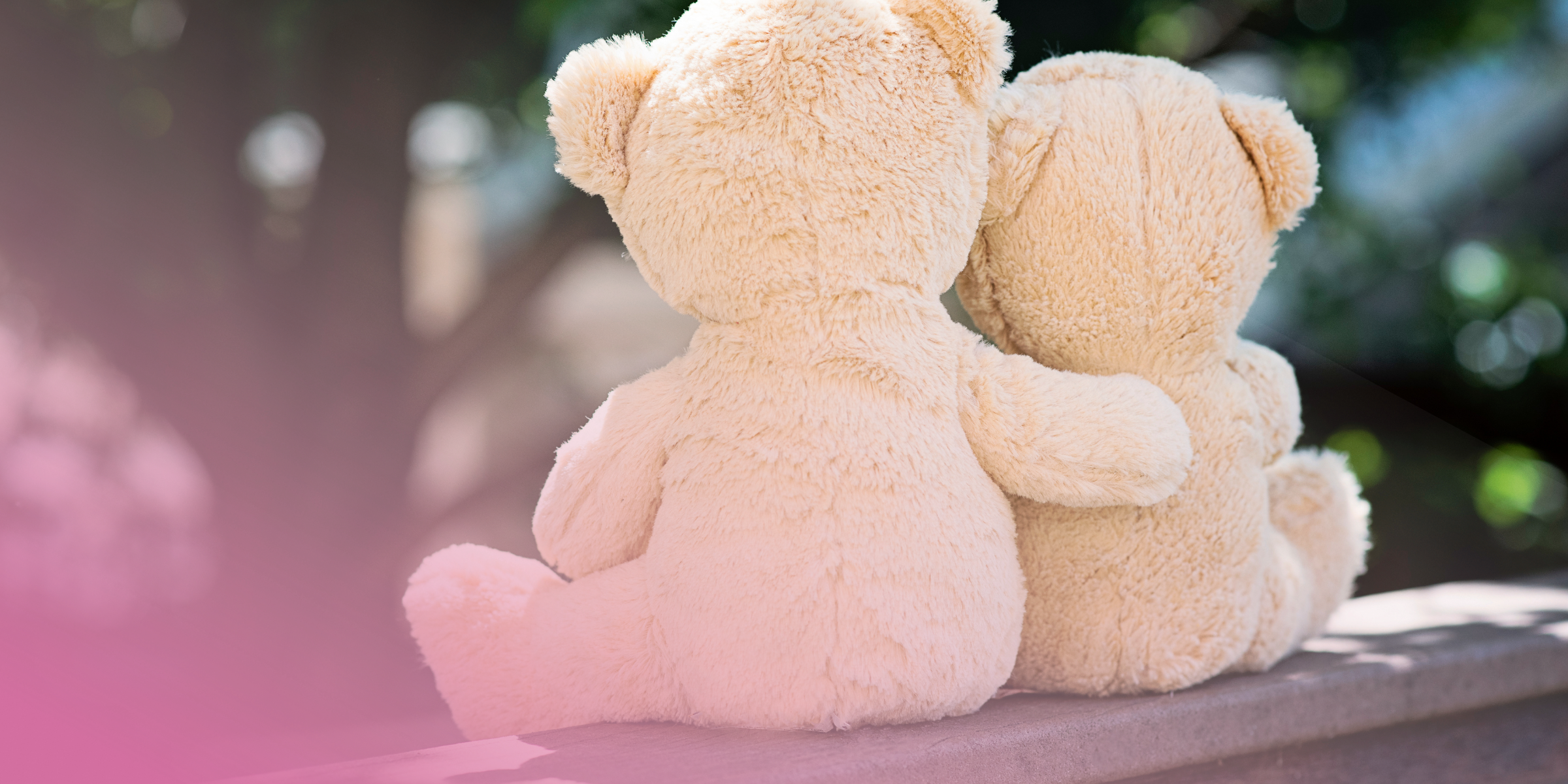 Two teddy bears sitting together on a bench with a soft pink glow.